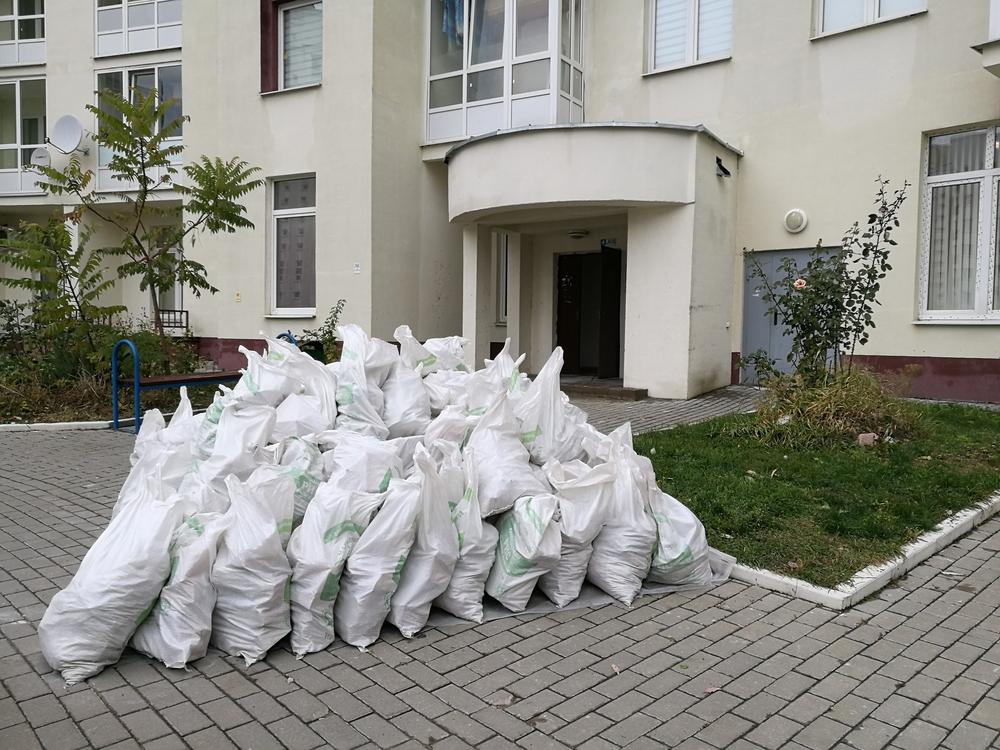 A before/after shot of a residential backyard with a big pile of clutter removed