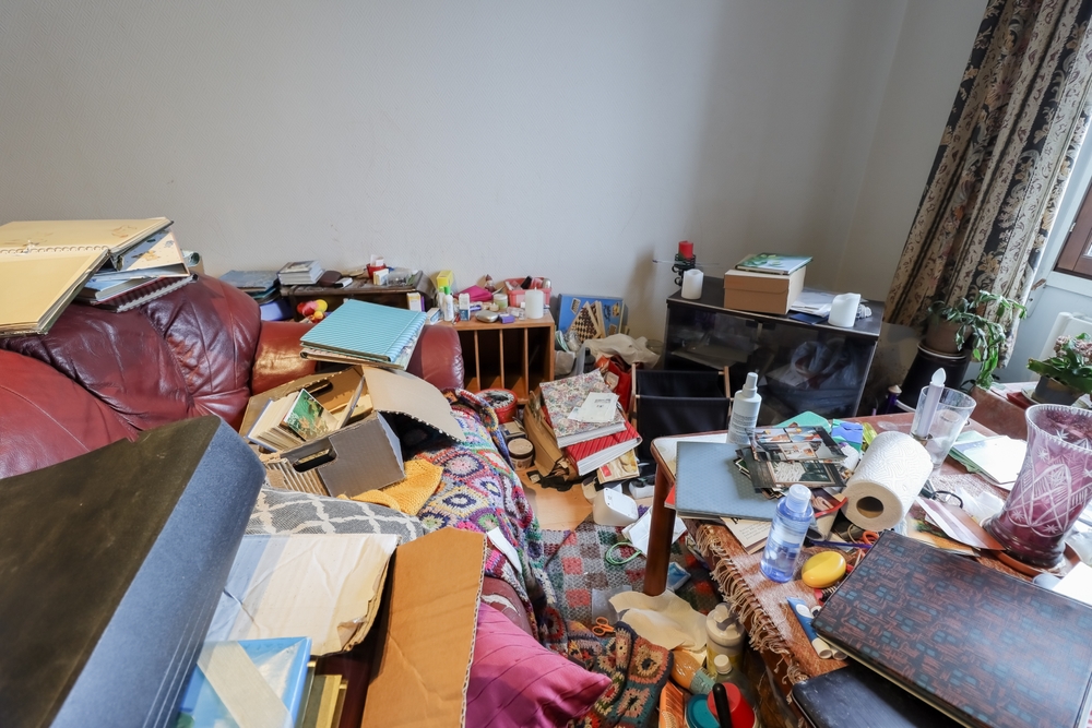 Overcoming Visual Noise: The Direct Link Between Physical Clutter and Cortisol Levels in Central NY Homes